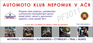 PF 2008 AMK Nepomuk